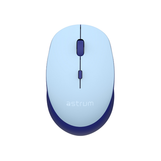 Wireless Optical Mouse - MW210 – Blue