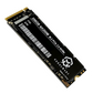 Rogueware NX200M 256GB M.2 GEN3 NVMe SSD